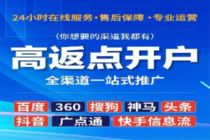 SEM搜索引擎优化成功案例，揭示优化策略与技巧