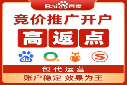 百度广告投放技巧与案例分享